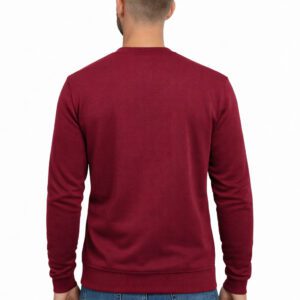 Vyriškas džemperis Igor 7