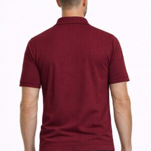 Vyriški polo marškinėliai Laurids 11