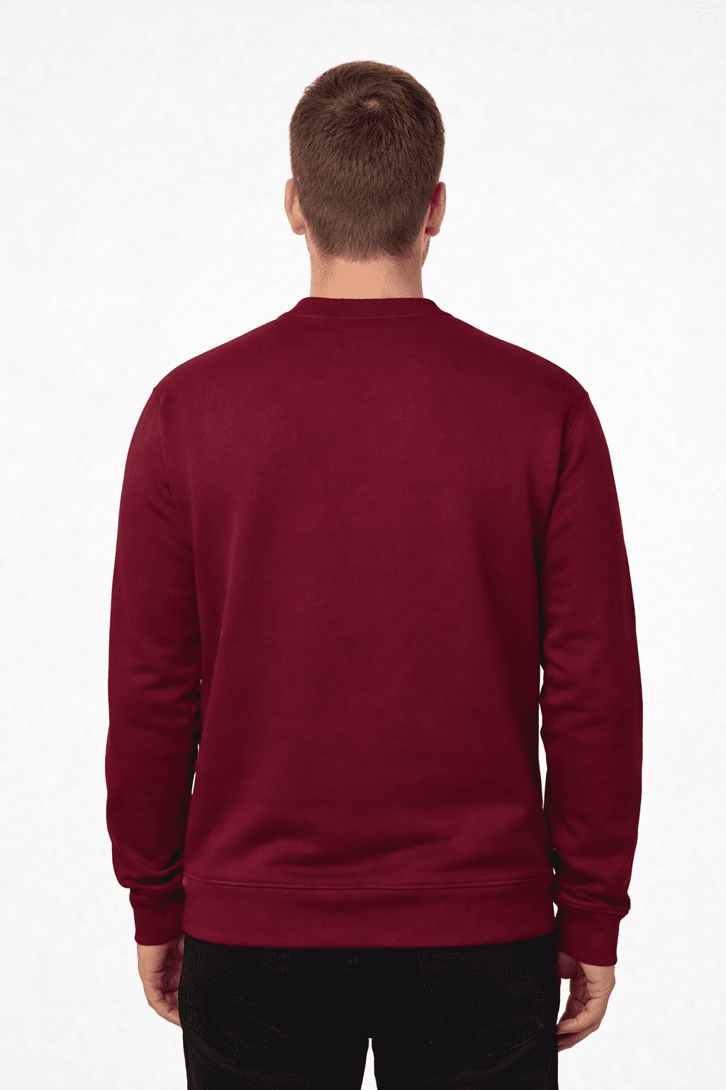 Vyriškas džemperis Ares 2