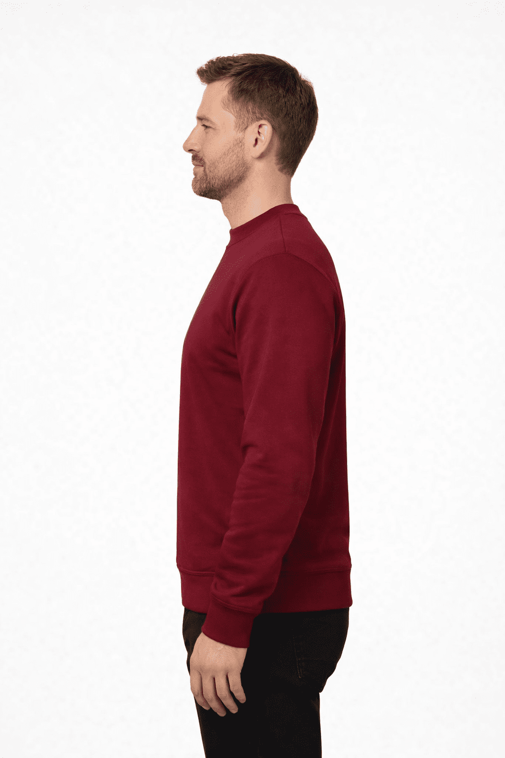 Vyriškas džemperis Ares 3